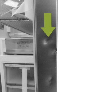 Einzelstück - Samsung RL36R8739S9-EG Kühl-Gefrierkombination
