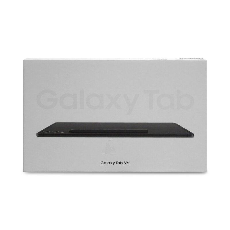 Samsung Galaxy Tab S9 128GB WiFi grau Tablet