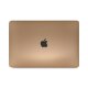 Einzelstück - Apple MacBook Air 13 M1, 8GB, 512GB SSD, Gold