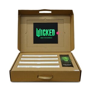 Samsung LS60UD Music Frame (2024) - Wicked Edition